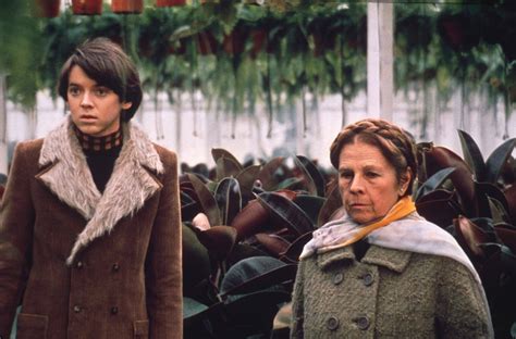 Harold en Maude!  Een liefdesverhaal vol macabre humor en een iconische soundtrack!